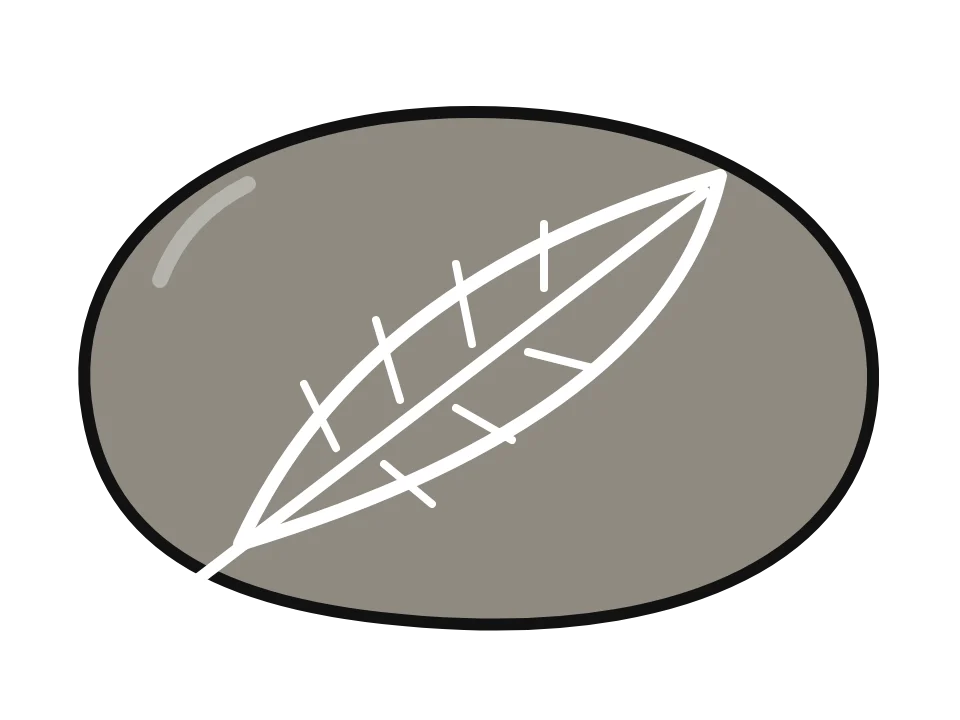 White feather: painted rock design sketch, a white feather drawn on a natural grey stone
